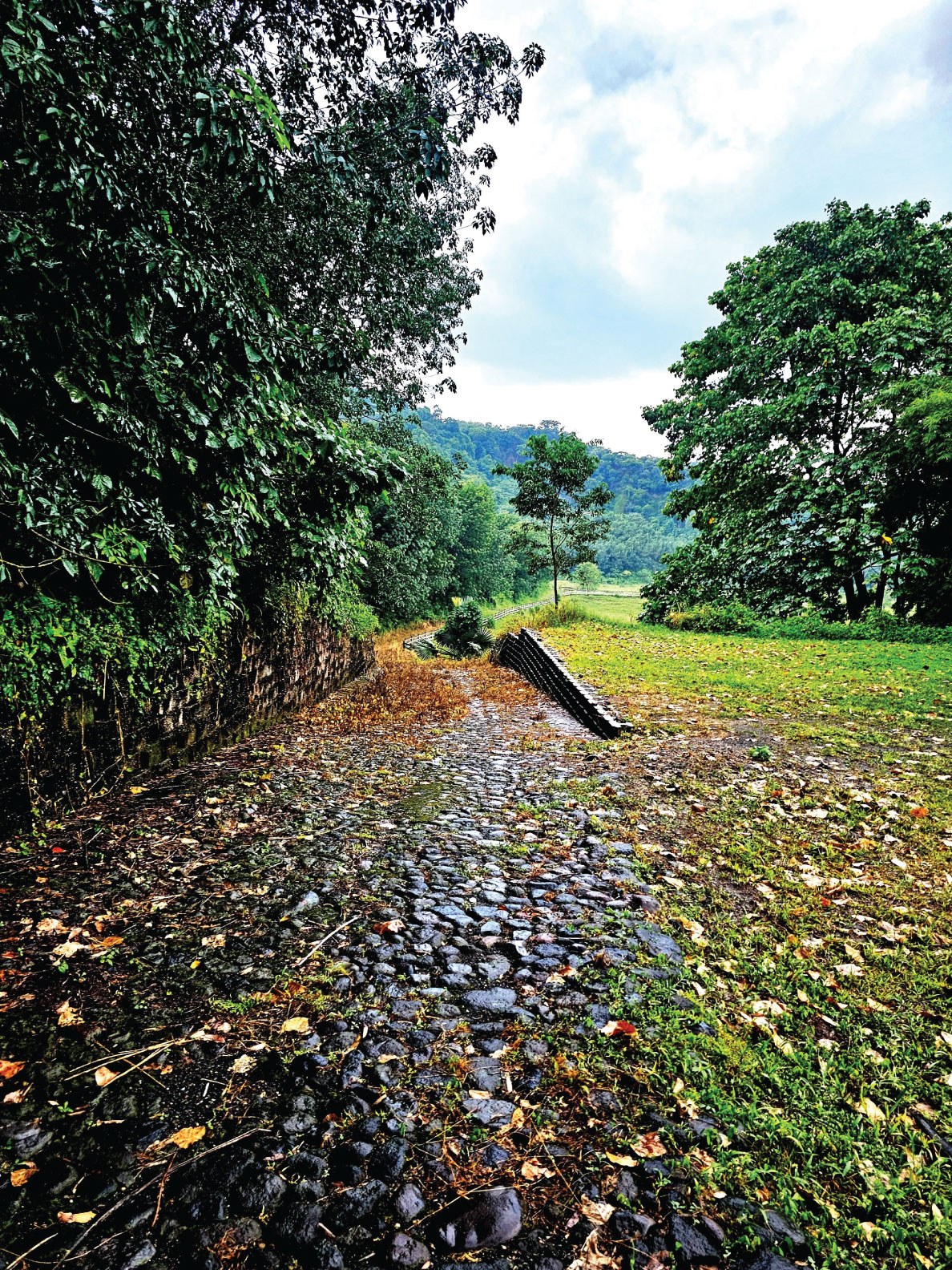 Fotografía de FINCA EN PATULUL