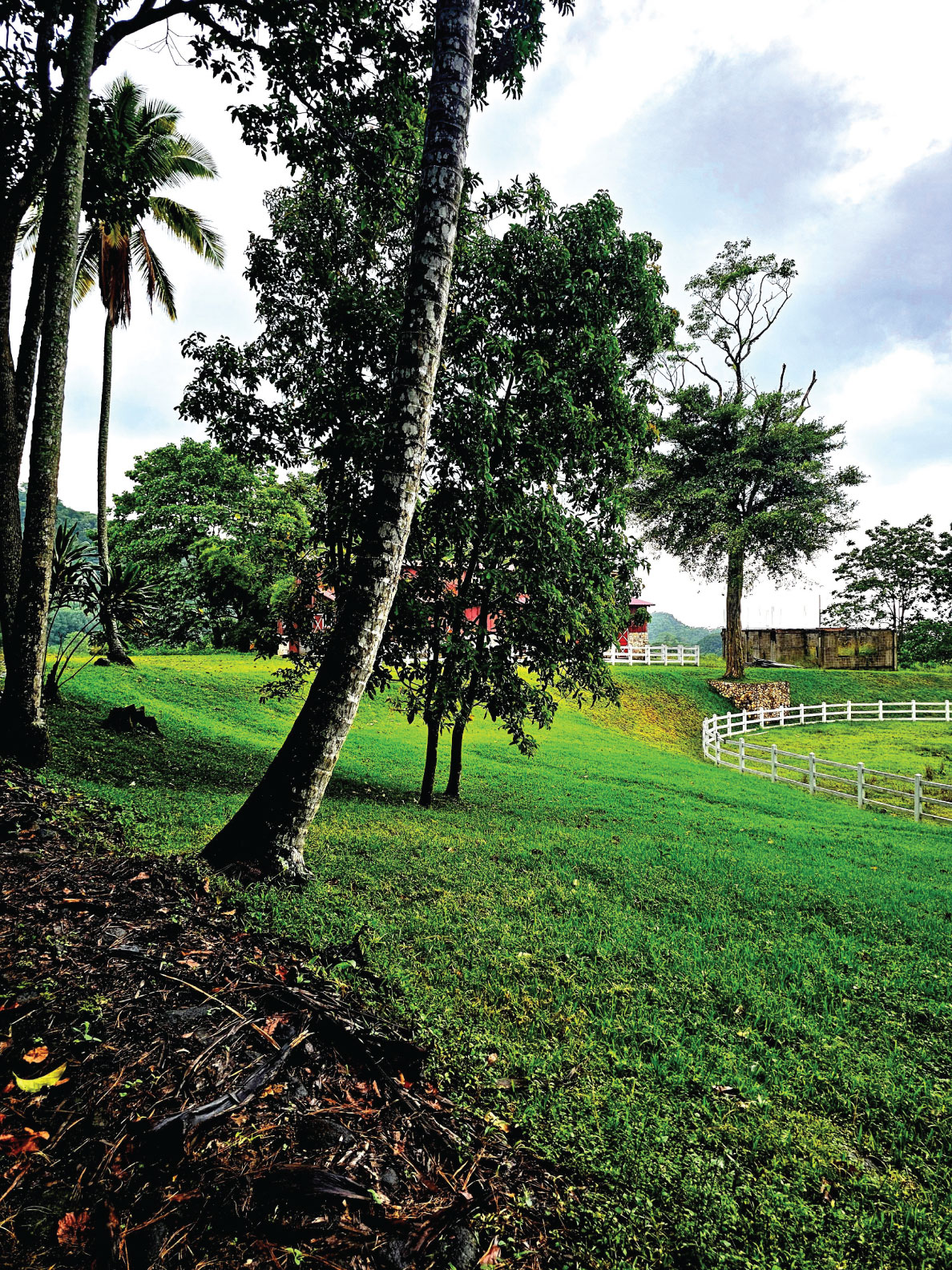 Fotografía de FINCA EN PATULUL