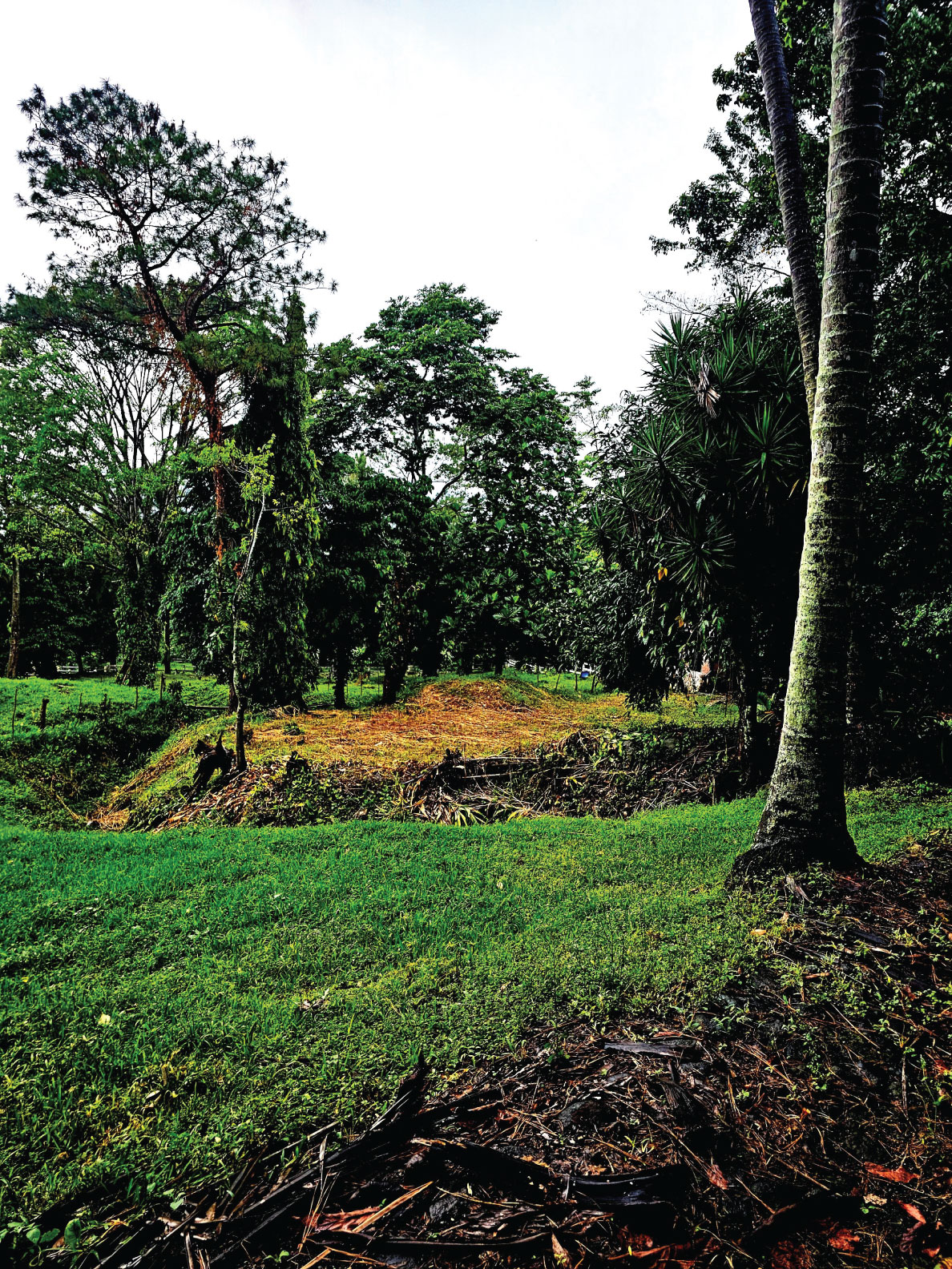 Fotografía de FINCA EN PATULUL
